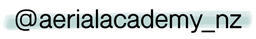 Aerial Academy Instagram